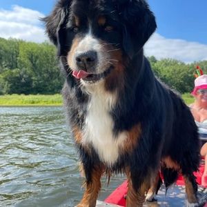 Meet your Posher, Coleen